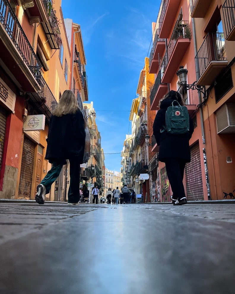 Travel Gear & Accessories